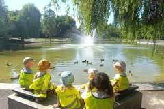 IMG-20250620-WA0041