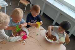 IMG-20250417-WA0013