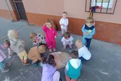 IMG-20250417-WA0019