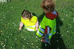 IMG-20250425-WA0027