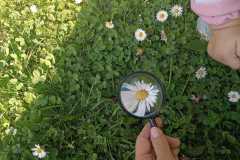 IMG-20250425-WA0028