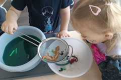 IMG-20250430-WA0025
