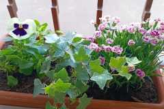 IMG-20250502-WA0004
