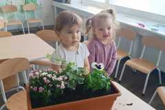 IMG-20250502-WA0009