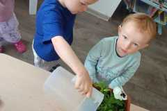 IMG-20250502-WA0010