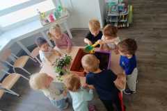 IMG-20250502-WA0016