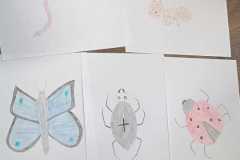 IMG-20250517-WA0003