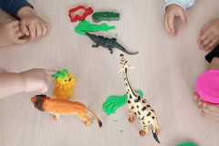 IMG-20250523-WA0018