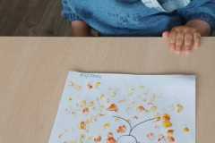 IMG-20250523-WA0041