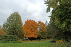 IMG_20251016_102251