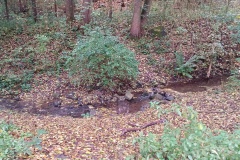 IMG_20251017_100505