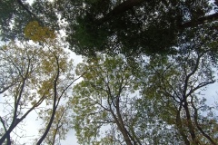 IMG_20251017_101955
