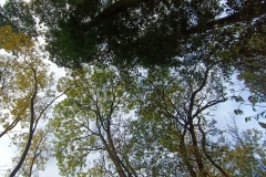 IMG_20251020_173100